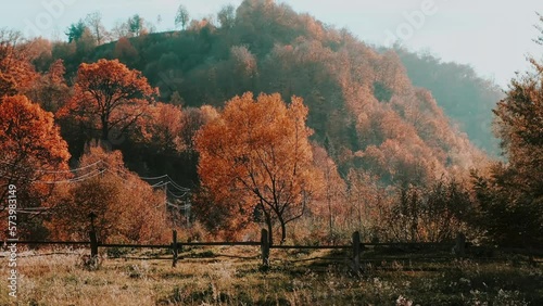 A tree behind a fence on the background of mountains in the autumn village