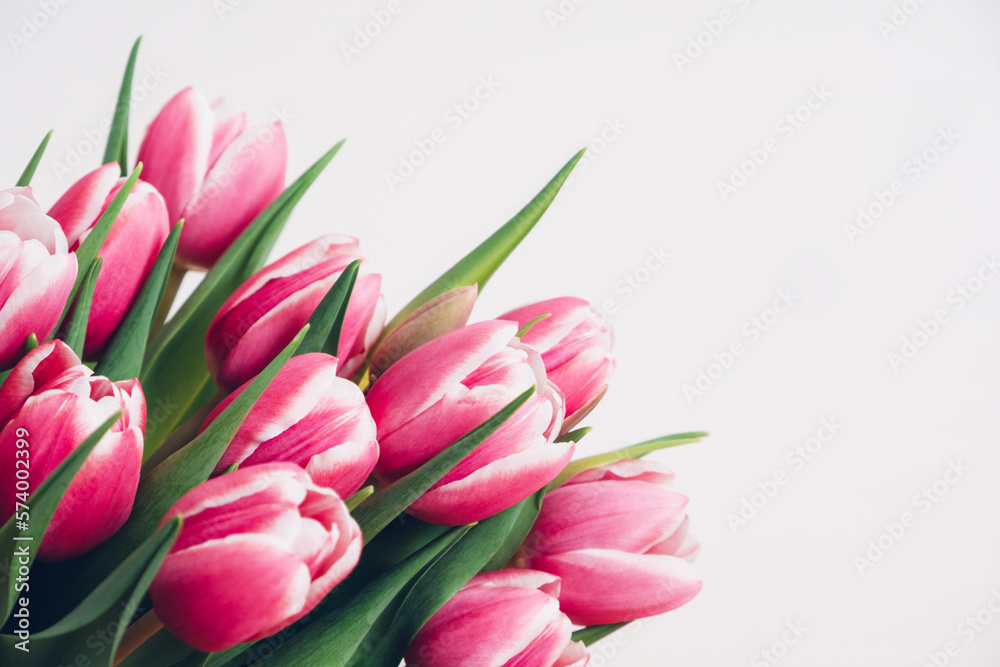 Beautiful bunch of fresh tulips in full bloom against white background, close up. Negative space for text. Spring flowers.