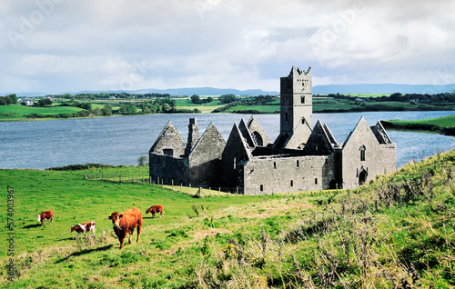 The ruins of Rosserk 15C. Franciscan Friary on the Moy estuary near the town of Killala, County Mayo, west Ireland photo