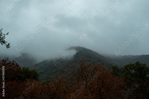 Foggy Mountain (ID: 574005103)