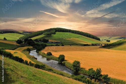 Highlands scozzesi