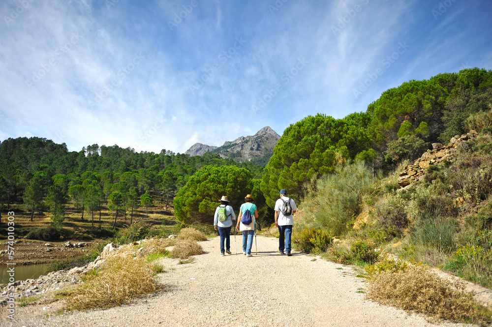 Hikers in the mountains of Andalusia. Hike in Grazalema Natural Park, province of Cadiz, Andalusia, Spain. Pine forests of Sierra of Grazalema.
