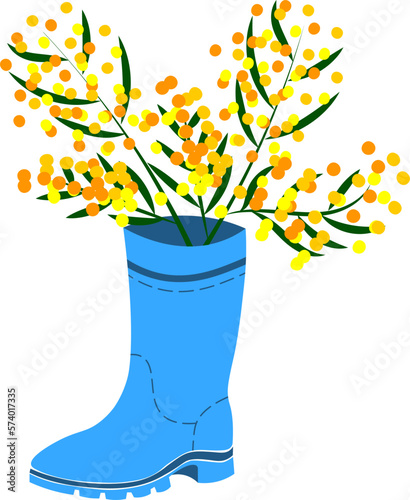 Rubber boots Wellies blue Wellington boots and mimosa flower vector