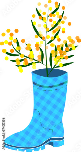 Rubber boots Wellies blue checkered Wellington boots and mimosa flower vector