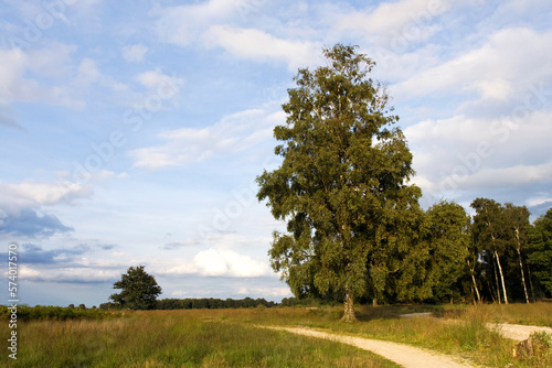 Haaksbergerveen, Netherlands