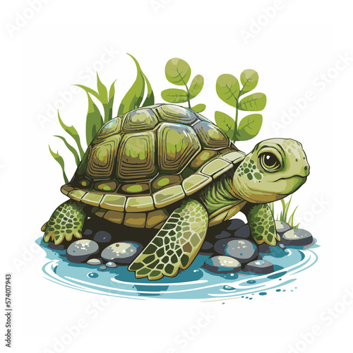 Little Turtle on isolated background