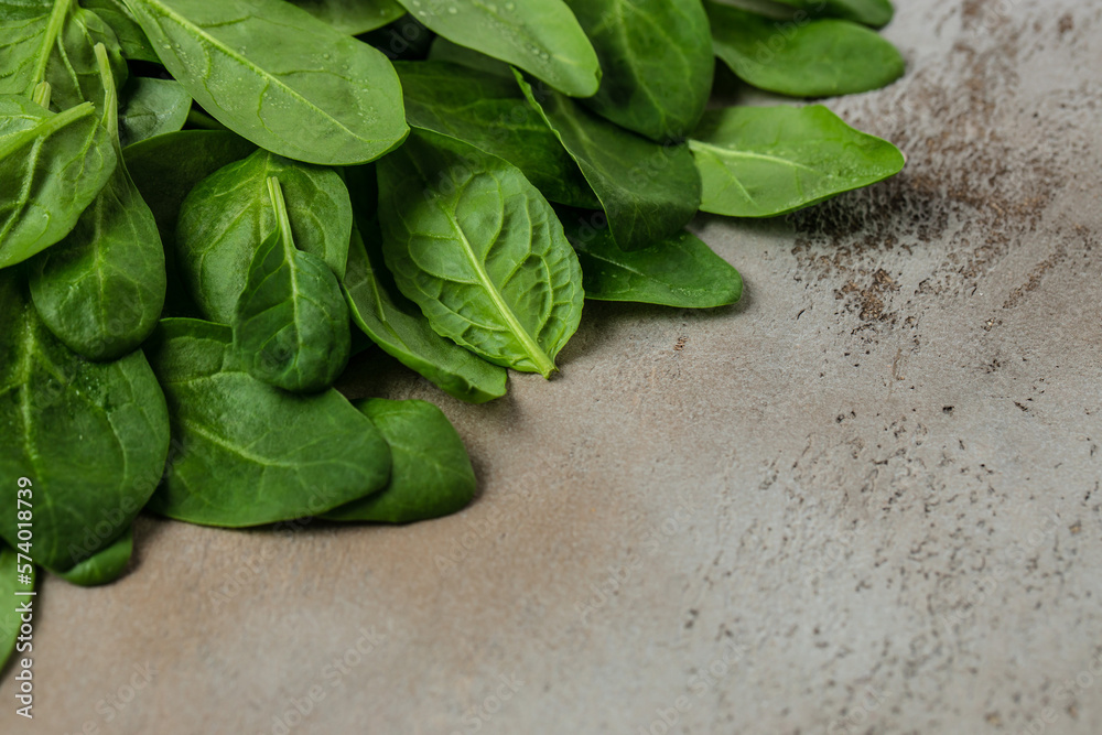 Fresh green baby spinach bundle. Vegetable. Long banner format. top view Fresh green baby spinach bundle. Vegetable. Long banner format. top view