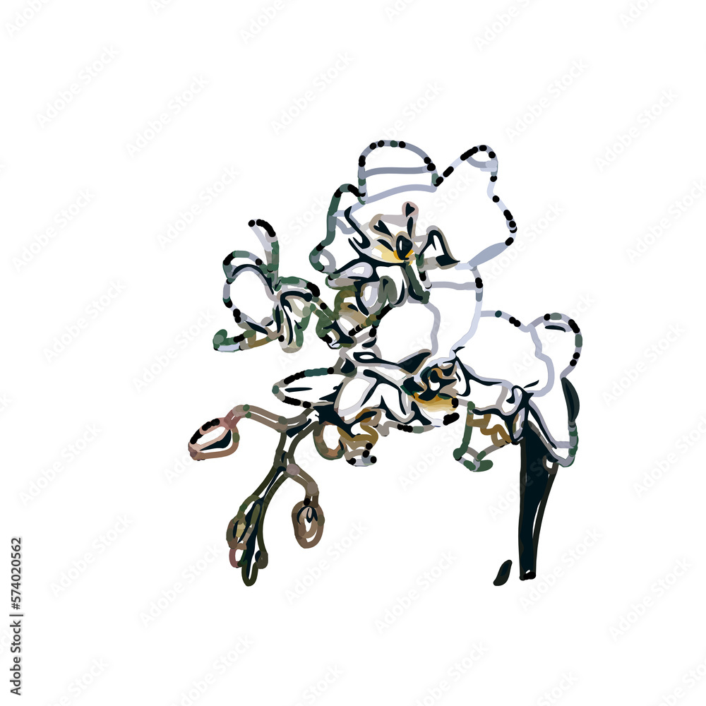 Color sketch of an orchid flower with transparent background