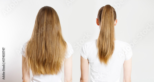 Closeup Ponytail, loose down Caucasian hair type back view isolated on white background. Straight long light brown healthy clean hairstyle. Shampoo concept. Different types of hairstyling. Copy space