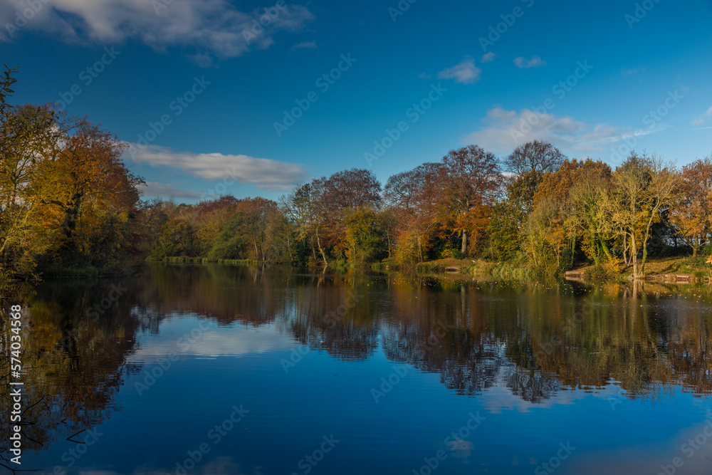 Reflecting Pond In The Autumn 