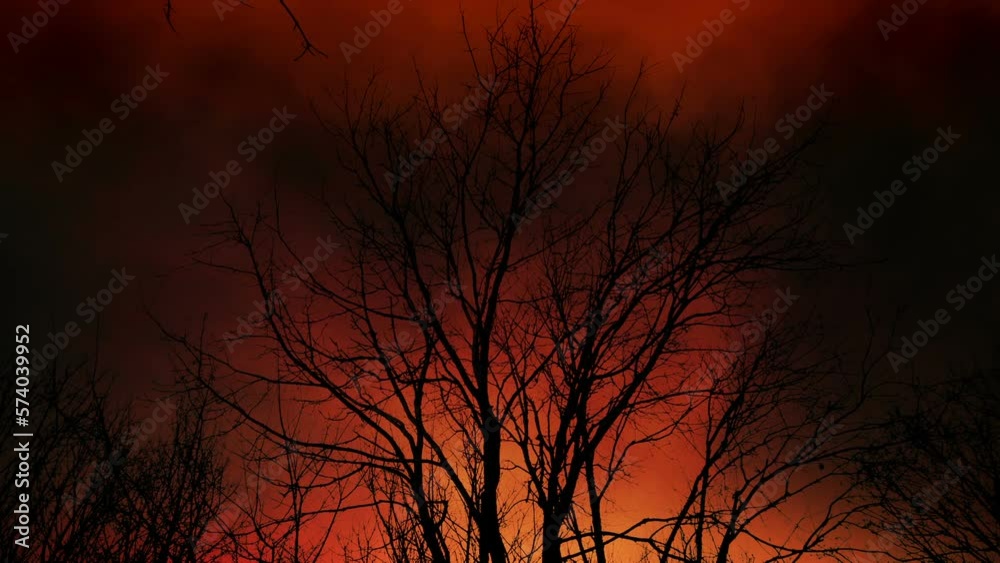 Dead Trees With Lightning And Fire, End Of The World Apocalypse Dead Trees With Lightning And Fire, End Of The World Apocalypse