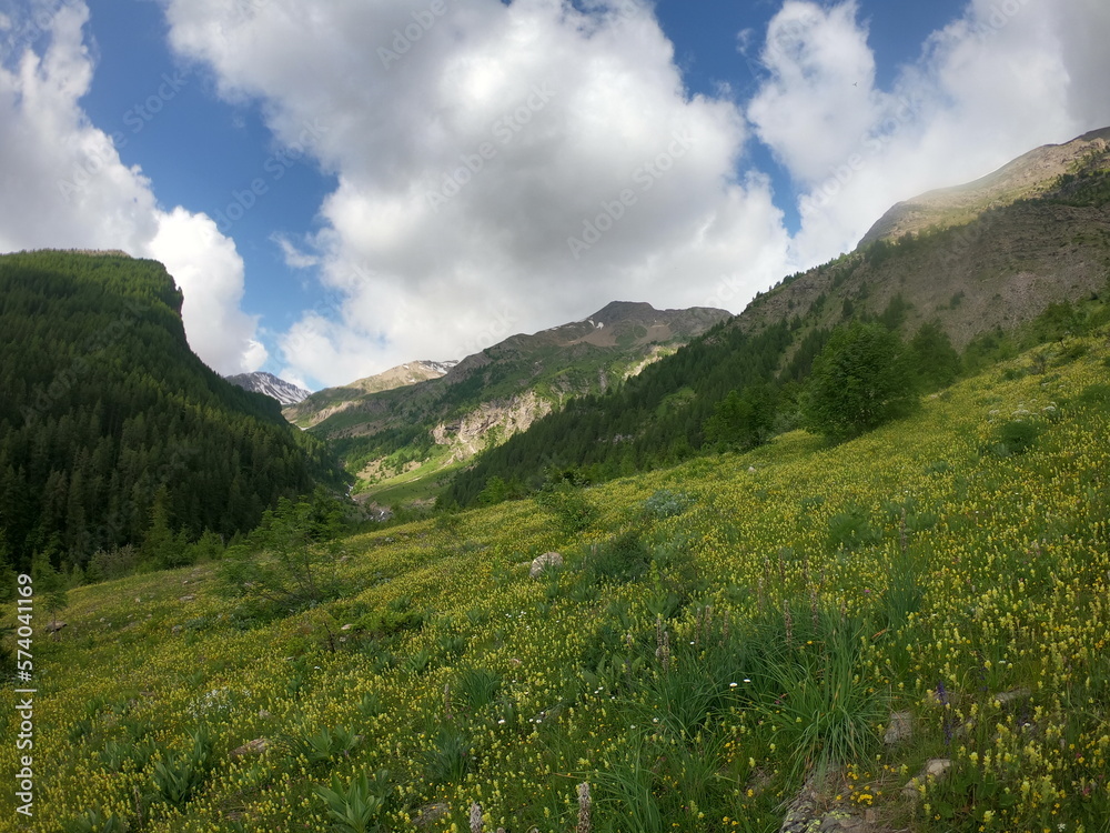 Fototapeta premium Hidden valley in the Ecrins
