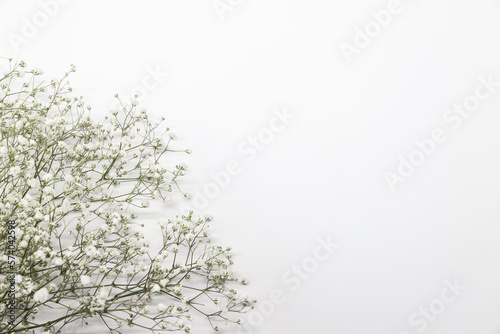 Floral composition with light  airy masses of small white flowers on turquoise white background  top view  frame. Gypsophila Baby s-breath flowers