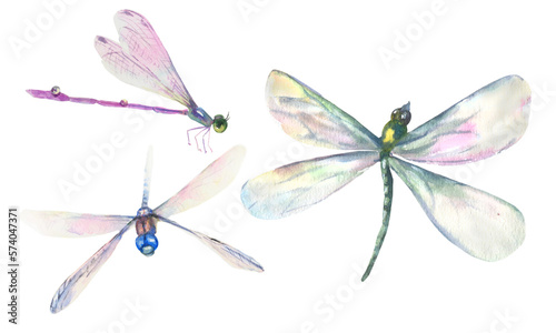 Watercolor dragonflies on a white background. Single elements, dragonfly insects. Insects with wings for design, scrapbooking, cards, wallpaper, print, print, wrapping paper