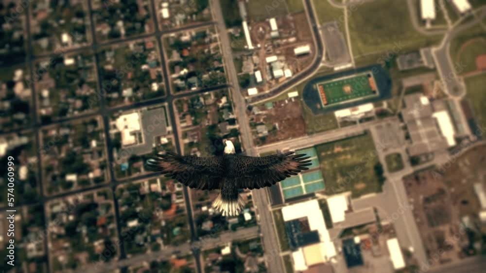Flying Eagle Point of View City 3D Video Animation Flying Eagle Point of View City 3D Video Animation