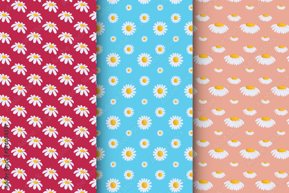 Collection of patterns with daisies, stylish set of patterns Collection of patterns with daisies, stylish set of patterns