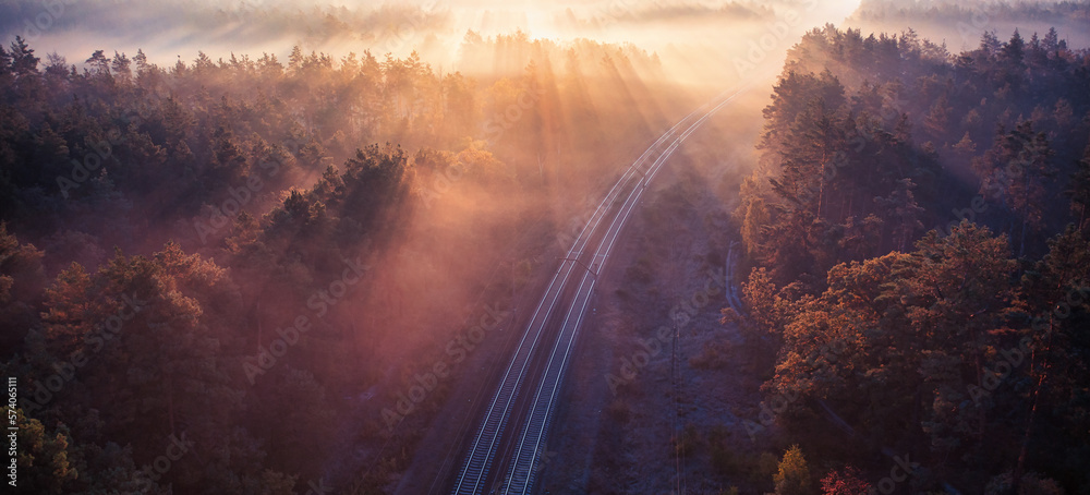 Fototapeta premium Enchanted Tracks: A Journey through the Mystical Forest