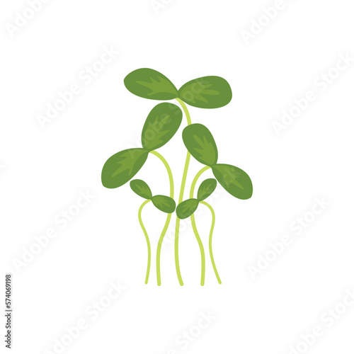 Green cress salad leaves. Garden cress. Medical herb and spice. Herbal vector illustration isolated on white background