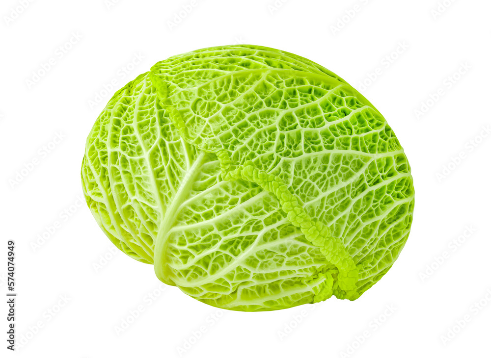 Savoy cabbage head, winter green vegetable, isolated on white background with clipping path Savoy cabbage head, winter green vegetable, isolated on white background with clipping path