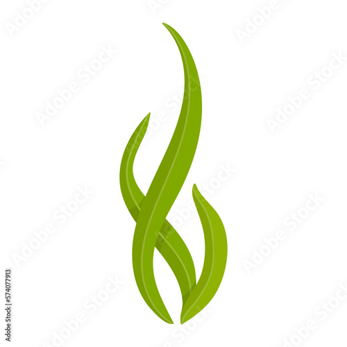 Green seaweed. Vector graphics.