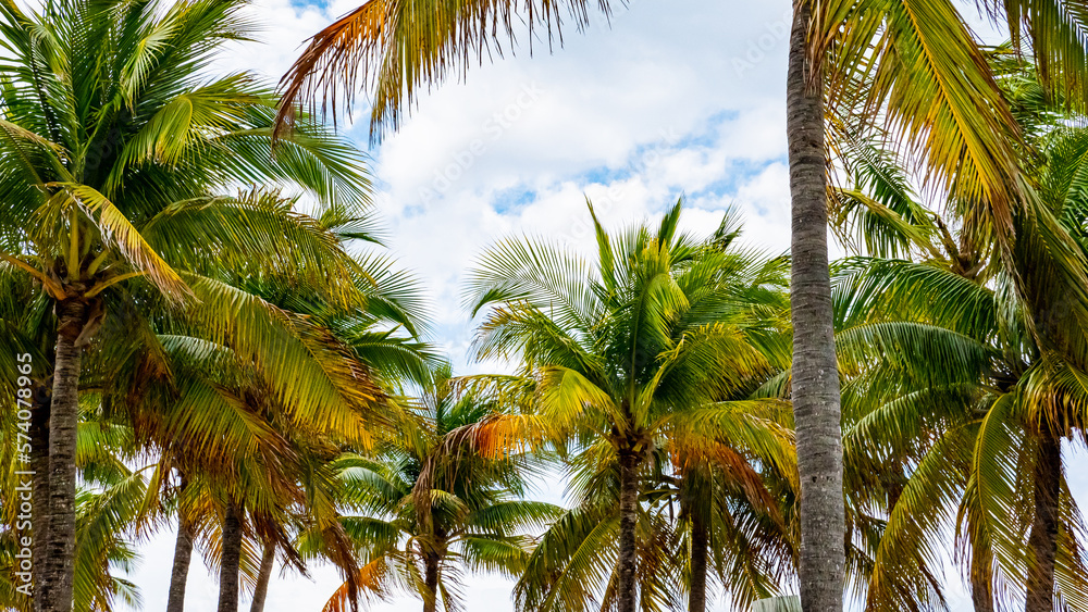 Fototapeta premium Castaway key, Bahamas