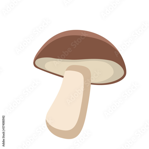 Mushroom Vegetable Healthy Food Vector Illustration