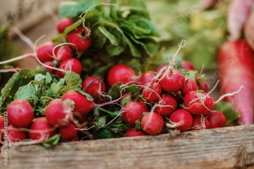 radishes on wooden table