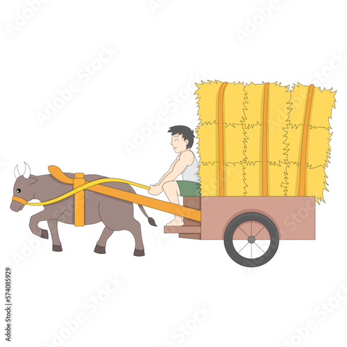 Village youths are riding on carts carrying hay