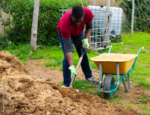 African man working in garden in spring, digging manure to fertilize soil before planting ..