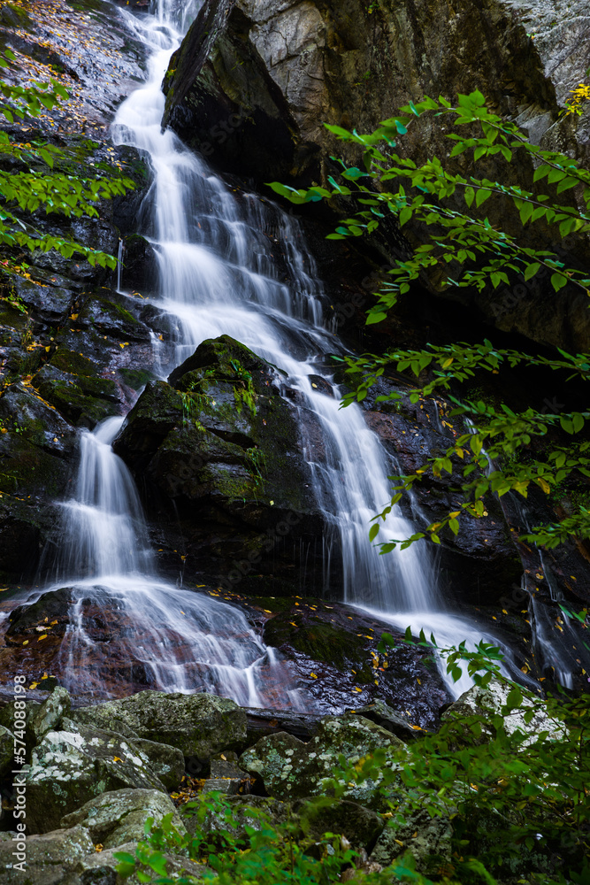 Fototapeta premium Apple Orchard Falls in Virginia
