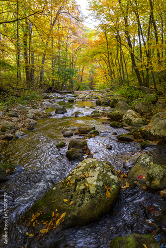 Streams in Virginia during the Fall