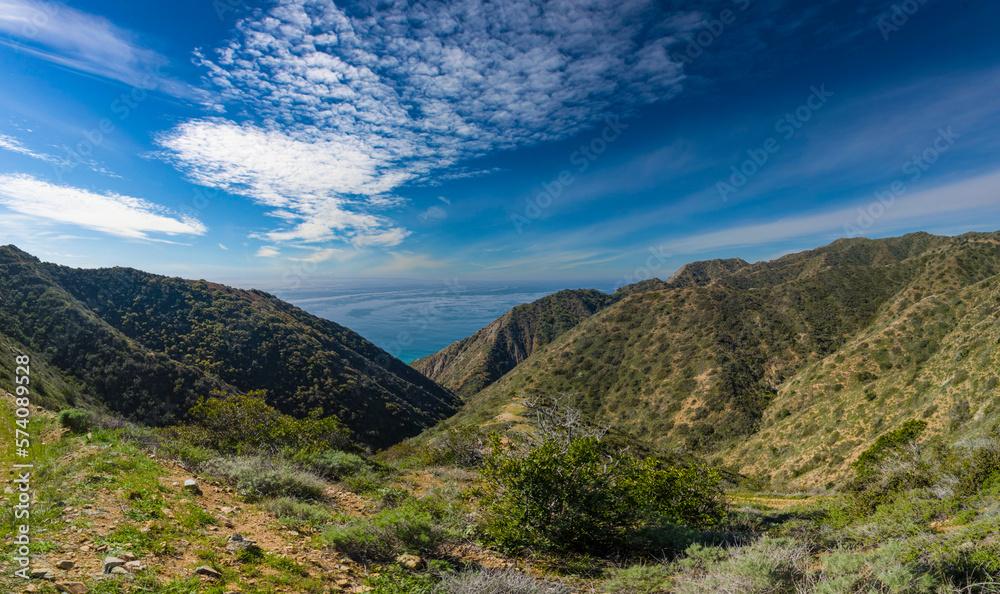 View from top of Catalina island looking down a canyon to the pacific ocean 