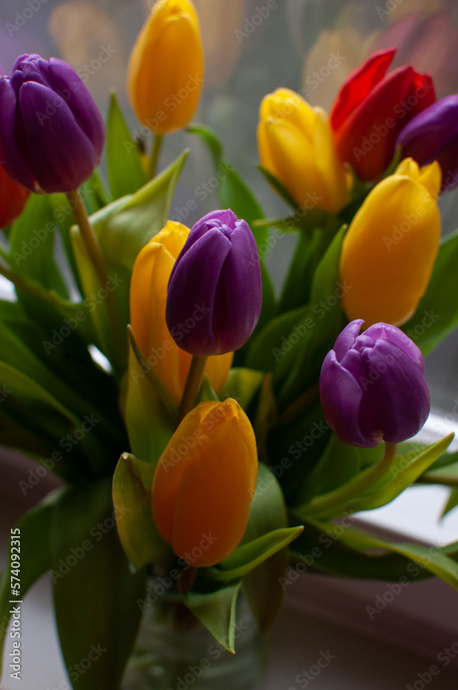 Fototapeta premium bouquet of colorful tulips