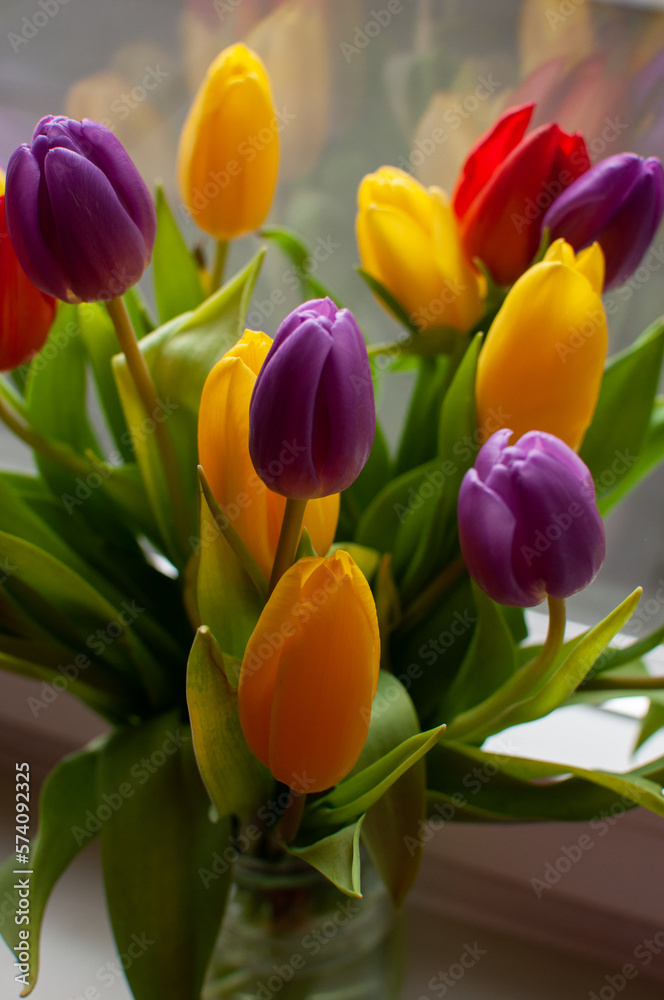 red and yellow tulips