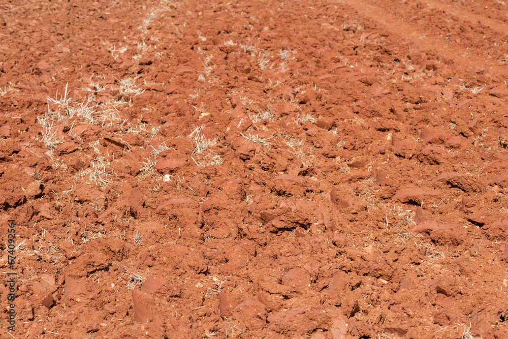 Tierra roja de cultivo recién labrada en el campo