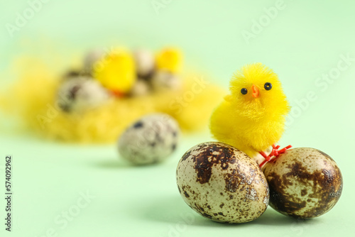 Easter eggs and baby chicken on green background
