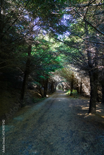 Hiking on the Bear Valley Trailhead in Marin County, California
