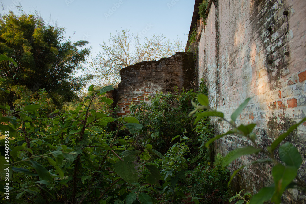 Ruined wall of an old building, the bricks are visible, there are plants in front and on the side, with natural light 