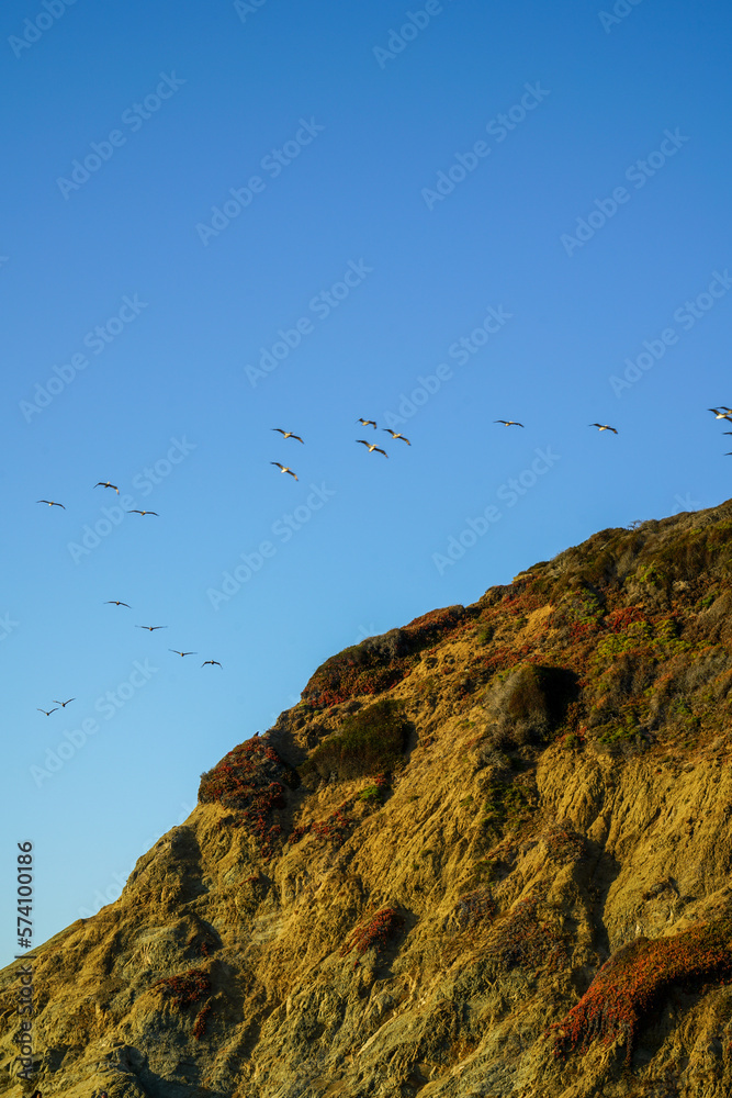 Birds flying over Baker Beach in San Francisco, California