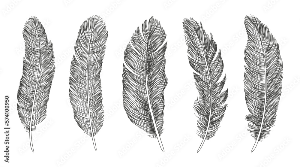 Feather icon set. Hand drawn illustration. Doodle sketch. Feather icon set. Hand drawn illustration. Doodle sketch.