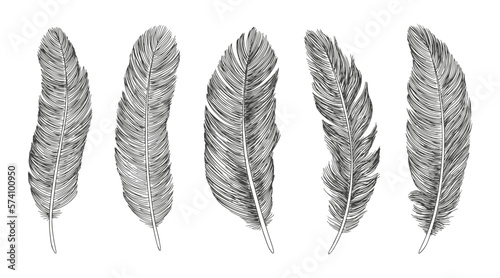 Feather icon set. Hand drawn illustration. Doodle sketch.