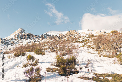 Natural landscape on a sunny day of snow-capped mountains with some dry bushes in the slope, photo taken during a treeking by the nature photo