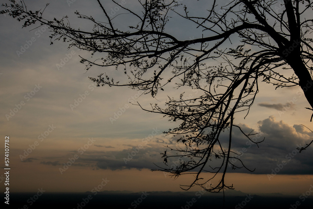 Silhouette of tree with sunset sky background at Khao Sun, Nakhon Si Thammarat, Thailand Silhouette of tree with sunset sky background at Khao Sun, Nakhon Si Thammarat, Thailand