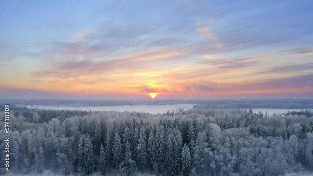 Flying over a snowy forest towards a colourful sky Flying over a snowy forest towards a colourful sky