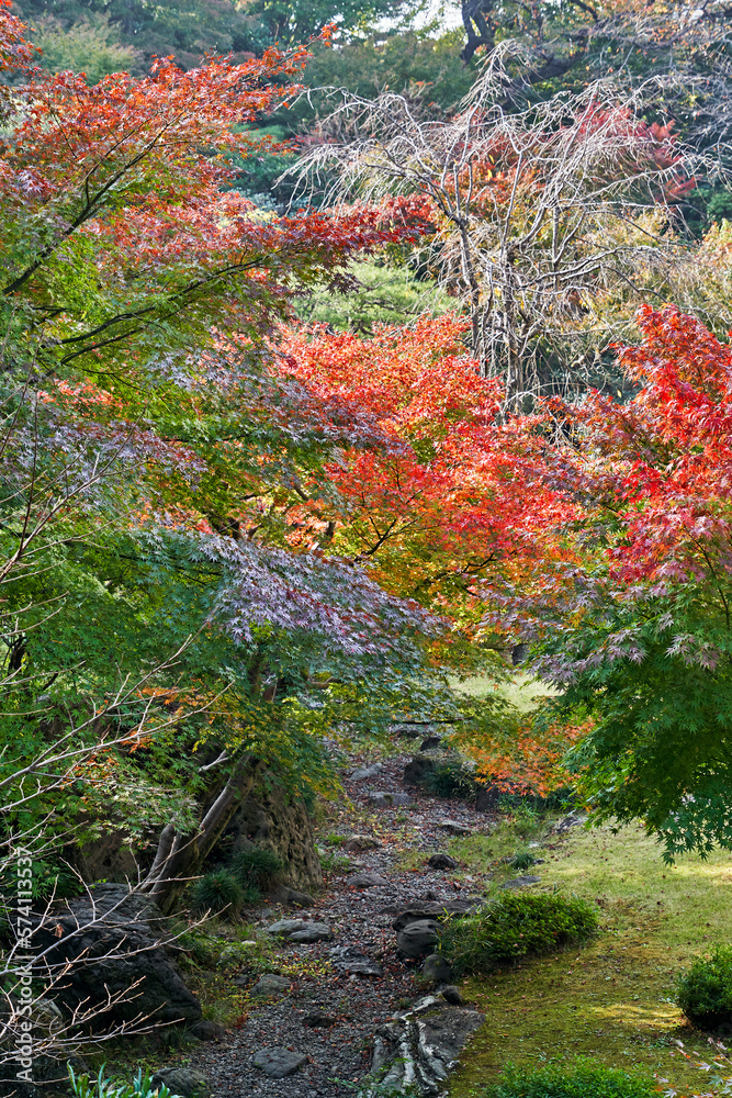 Fototapeta premium 国際文化会館, 日本庭園