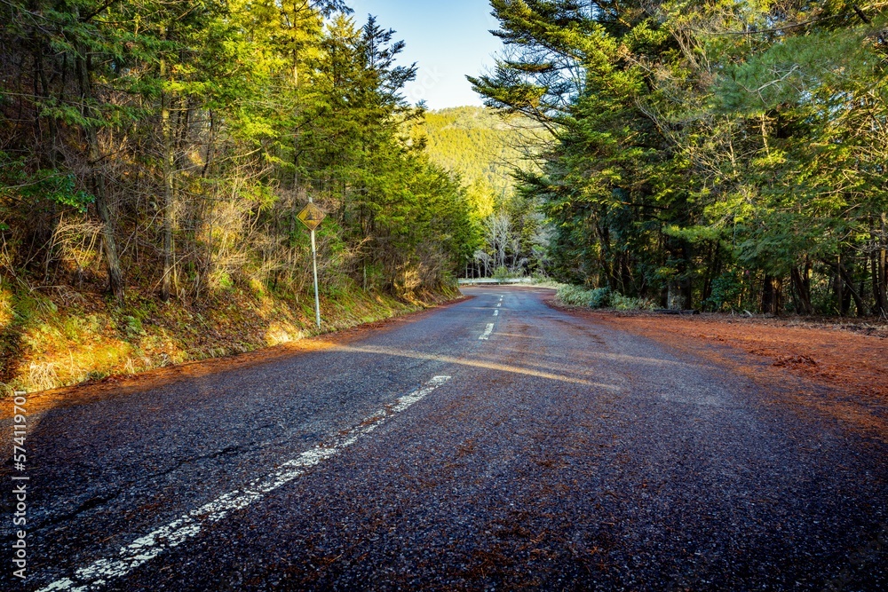 Fototapeta premium 峠の道路
