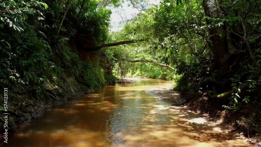 River stream through the forest of Paraguay. (Aerial view) River stream through the forest of Paraguay. (Aerial view)