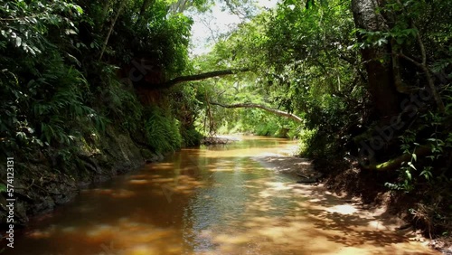 River stream through the forest of Paraguay. (Aerial view)