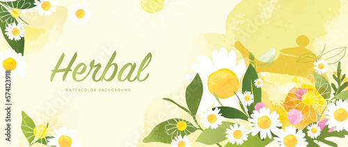 Botanical herbal watercolor background vector. Hand drawn aromatic chamomile flowers and leaf branch, teapot. Decorative garden foliage design for wallpaper, cover, advertising, healthcare product.
