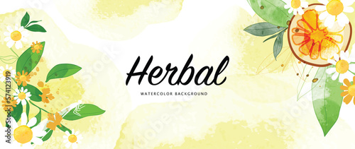 Botanical herbal watercolor background vector. Hand drawn aromatic chamomile flowers, lemon and leaf branch. Decorative garden foliage design for wallpaper, cover, advertising, healthcare product.